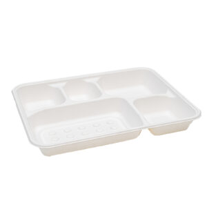 Bagasse Lunch Tray