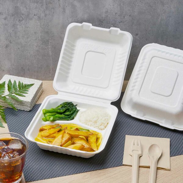 Bagasse Clamshells: Eco-Friendly Packaging That Performs Without Compromise