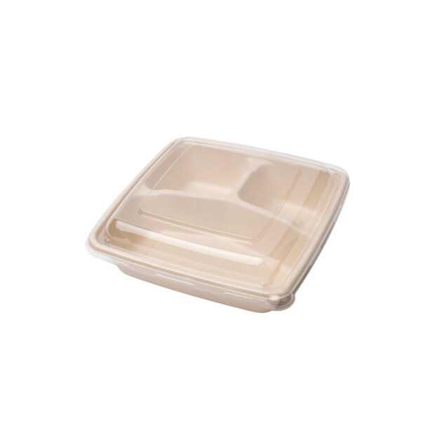 Bagasse Base