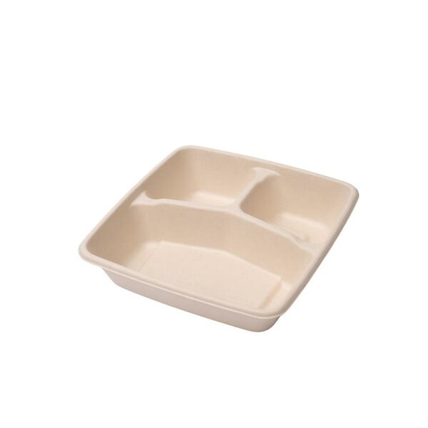 Bagasse Base