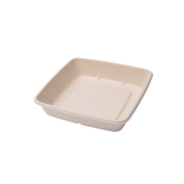 Bagasse Base