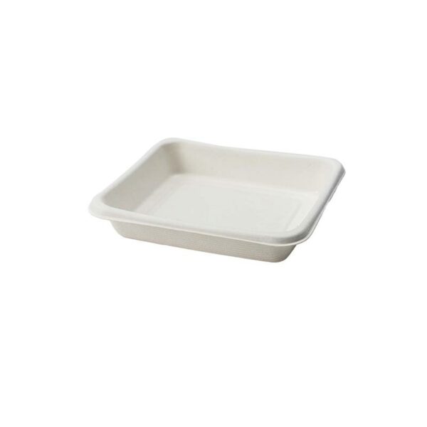 Bagasse Base