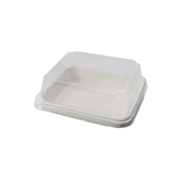 Bagasse Base
