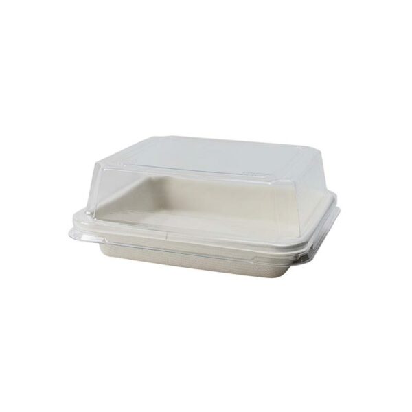 Bagasse Base