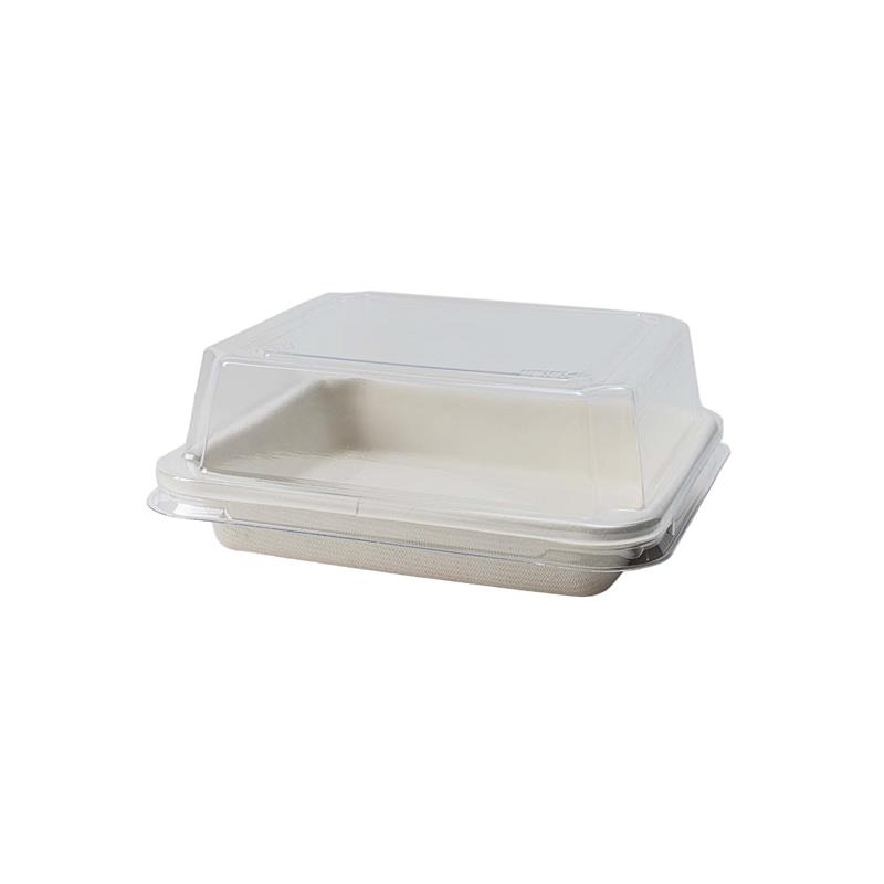 Bagasse Base
