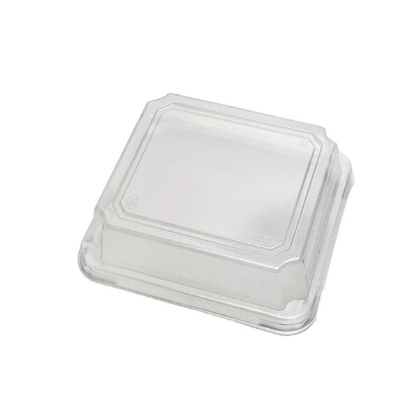 Bagasse Base