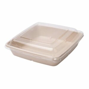 bagasse base